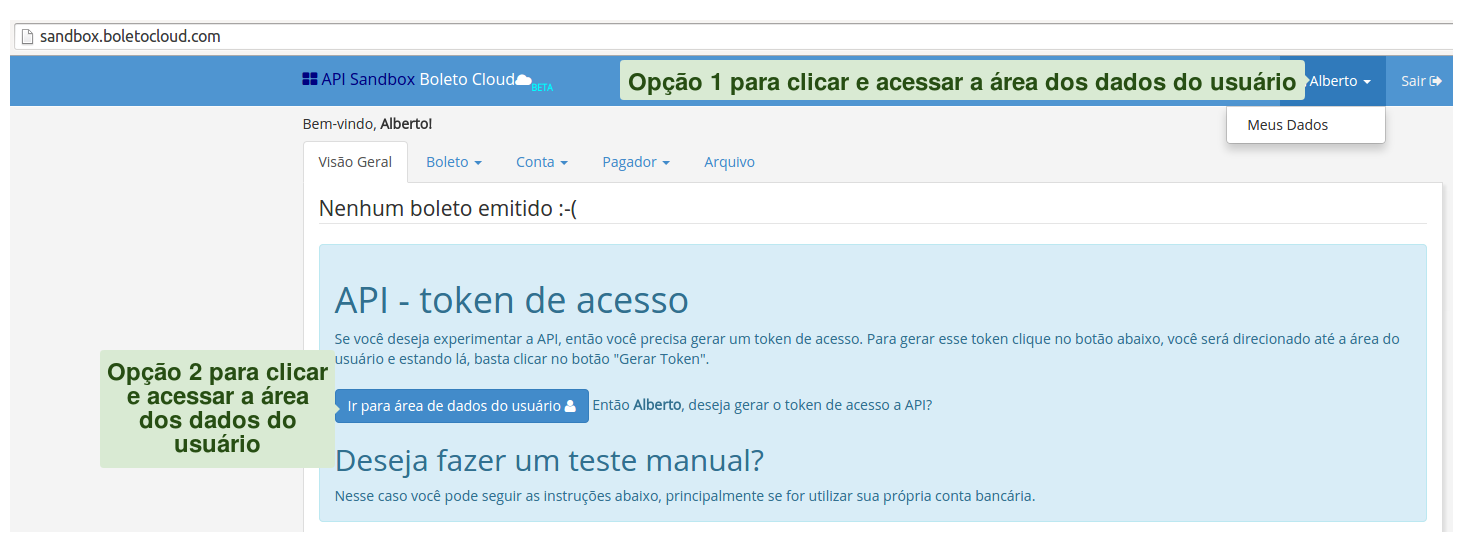 Ambiente sandbox após login